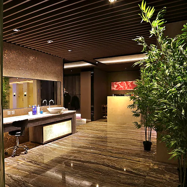 Vanity and grooming area photo